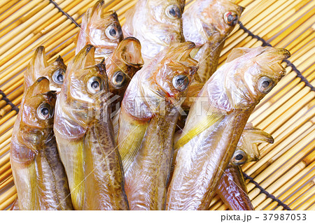 ハタハタ 干物 ハタハタ 干物 37987053