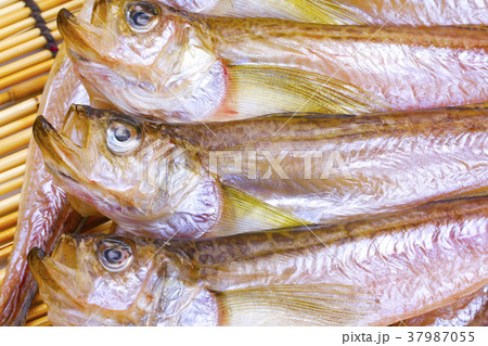 ハタハタ　干物 37987055