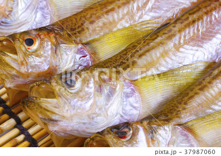 ハタハタ　干物 37987060