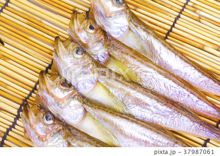 ハタハタ 干物 ハタハタ 干物 37987061