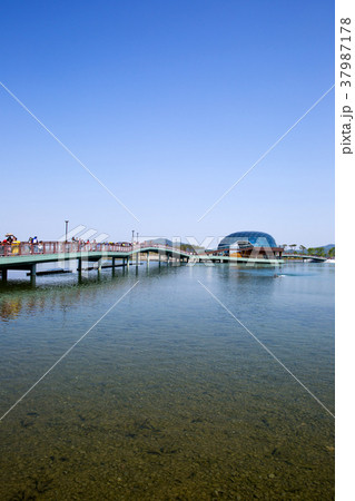 世宗市 忠南 空 37987178