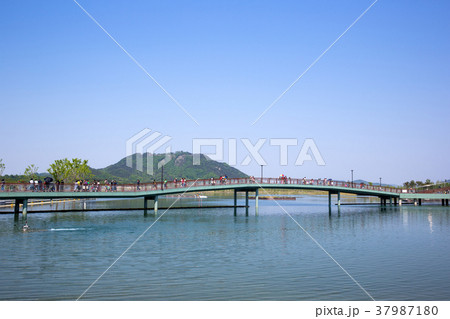 世宗市 忠南 空 37987180