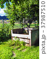 Composting in the garden under the tree. 37987510