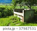 Composting in the garden under the tree. 37987531