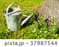 An old metallic watering-can standing on the lawn. 37987544