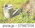 An old metallic watering-can standing on the lawn. 37987556