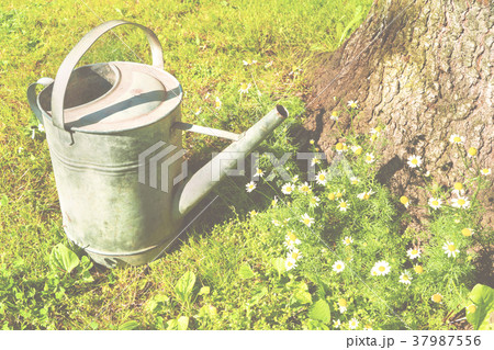 An old metallic watering-can standing on the lawn. An old metallic watering-can standing on the lawn. 37987556
