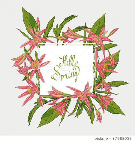 Flowers Lilies square frame, hello spring Flowers Lilies square frame, hello spring 37988059