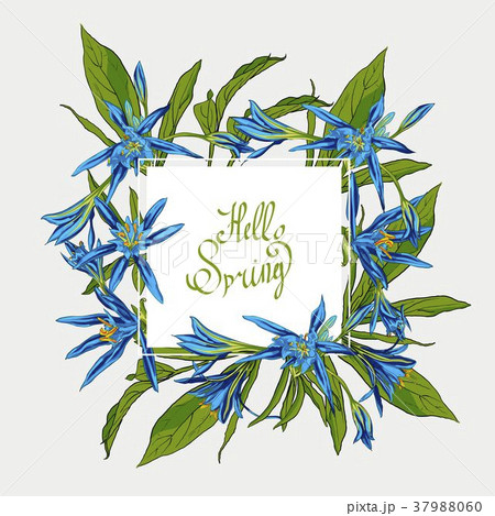 Flowers Lilies square frame, hello spring 37988060