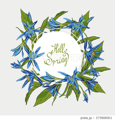 Flowers Lilies round frame, hello spring Flowers Lilies round frame, hello spring 37988061