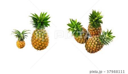 Pineapple isolated on white 37988111