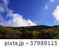 木戸池・秋 37989115