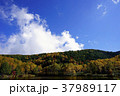 木戸池・秋 37989117