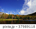木戸池・秋 37989118