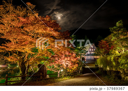 飛騨の里 紅葉ライトアップ 飛騨高山 飛騨の里 紅葉ライトアップ 飛騨高山 37989367