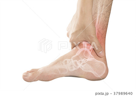 foot bones pain foot bones pain 37989640