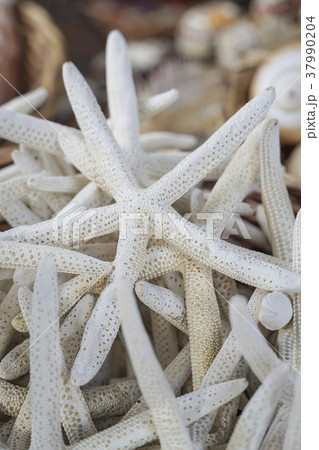 Pile of starfishes as a souvenir 37990204