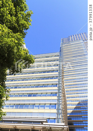 都市風景(東京、ミッドタウン、初夏) 都市風景(東京、ミッドタウン、初夏) 37991338