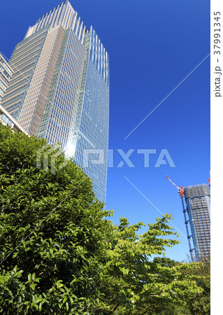 都市風景(東京、ミッドタウン、初夏) 都市風景(東京、ミッドタウン、初夏) 37991345