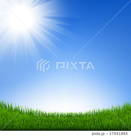 Grass Border With Sky 37991884