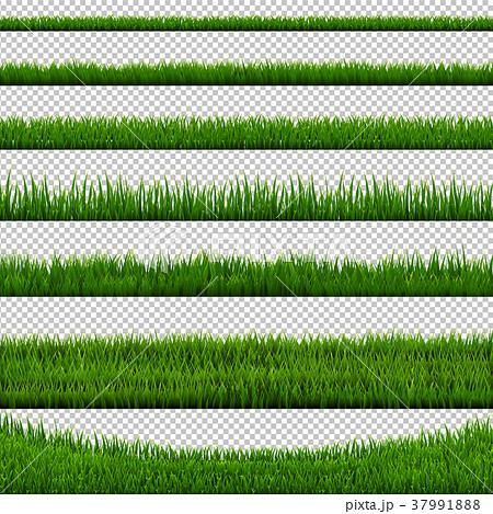 Grass Border Collection 37991888