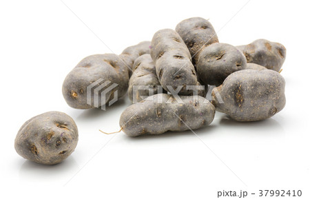 Fresh vitelotte potato isolated on white Fresh vitelotte potato isolated on white 37992410