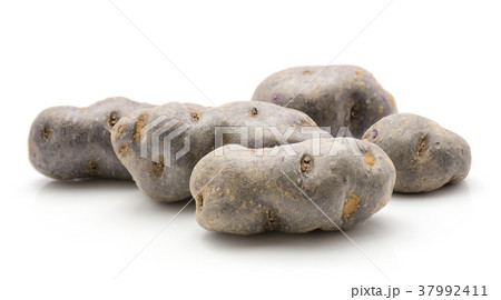 Fresh vitelotte potato isolated on white Fresh vitelotte potato isolated on white 37992411