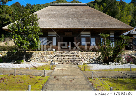 浜松 宝林寺 浜松 宝林寺 37993236