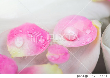 background, woman day, harmony concept. close up 37993361