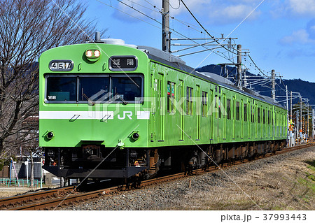 鉄道　列車　奈良線　藤森　桃山　103系　4両編成　冬　うぐいす　ウグイス　JR西日本　普通　ローカ 37993443