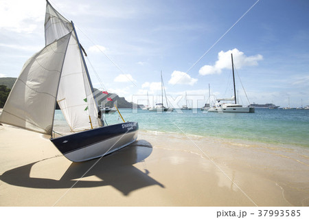 カリブ海べキア島のビーチ 37993585