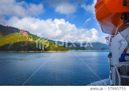Marlborough Sounds view from a ferry, New Zealand Marlborough Sounds view from a ferry, New Zealand 37993753