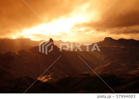 EUROPE SPIAN GRAN CANARY EUROPE SPIAN GRAN CANARY 37994003