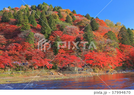 晴天下の香嵐渓紅葉 晴天下の香嵐渓紅葉 37994670