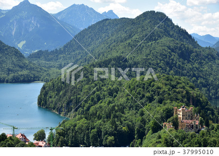 ホーエンシュヴァンガウ城 37995010