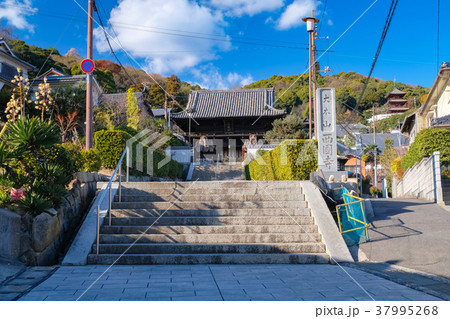 尾道 西國寺 仁王門(山門) 尾道 西國寺 仁王門(山門) 37995268