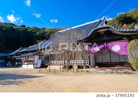 尾道 西國寺 持仏堂 37995293