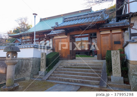 尾道 西國寺 持善院 尾道 西國寺 持善院 37995298