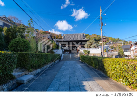 尾道 西國寺 仁王門(山門) 尾道 西國寺 仁王門(山門) 37995300