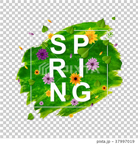 Spring Banner With Flower Transparent Background Spring Banner With Flower Transparent Background 37997019