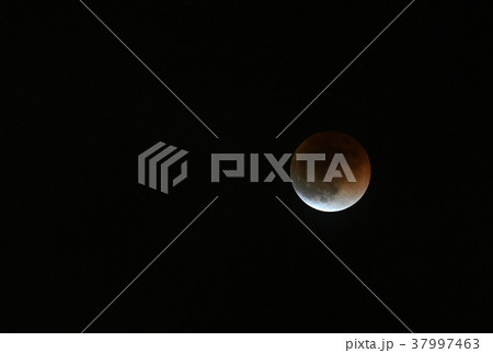 青い帯・皆既月食（スーパーブルーブラッドムーン）＝1月31日、関連キーワード　皆既月食連続写真 37997463