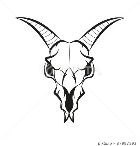 Goat Skull by schapiro on DeviantArt
