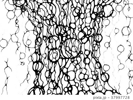 Line White texture. 37997728