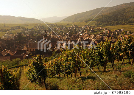 EUROPE FRANCE ALSACE 37998196