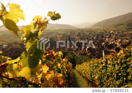 EUROPE FRANCE ALSACE 37998215