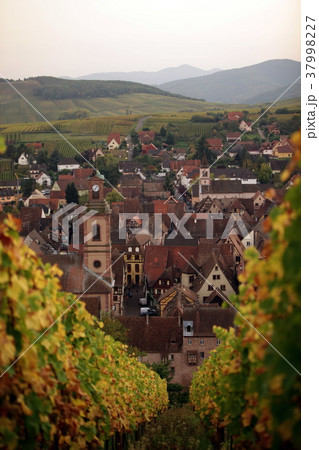 EUROPE FRANCE ALSACE 37998227