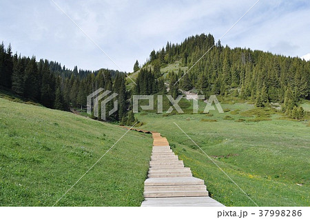 高原の散歩道2(中国 サリム湖) 高原の散歩道2(中国 サリム湖) 37998286