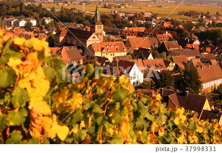 EUROPE FRANCE ALSACE 37998331