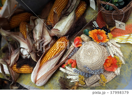 EUROPE FRANCE ALSACE EUROPE FRANCE ALSACE 37998379