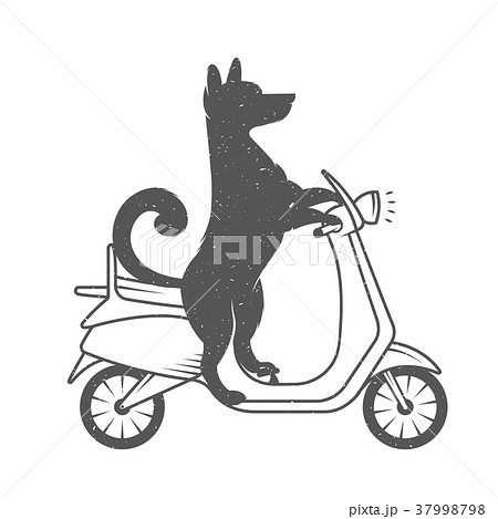 Vector Illustration Funny Dog 37998798